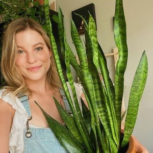 Meet your Posher, Sydney